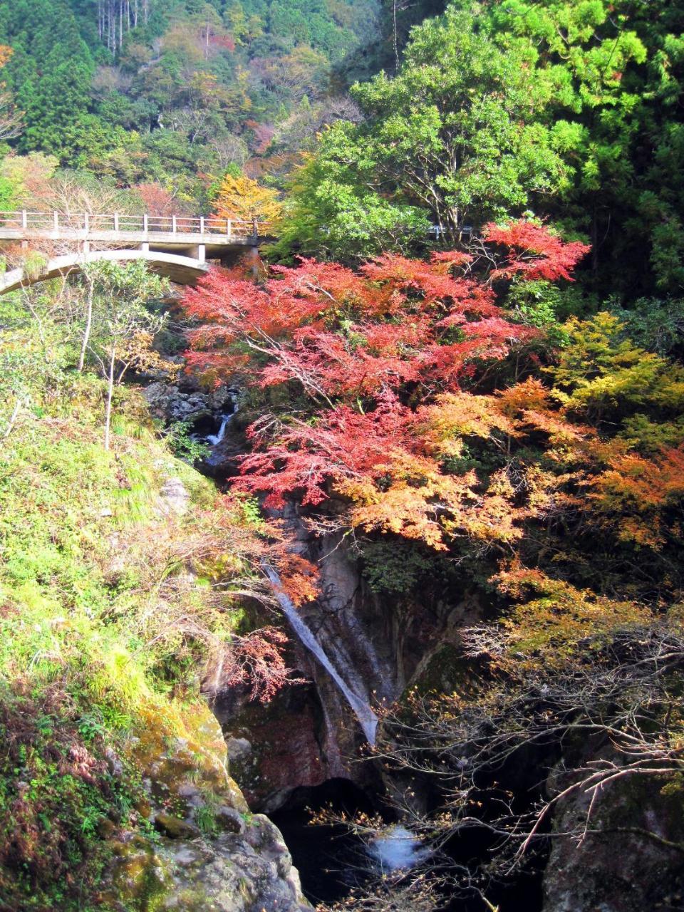Nature Resort In Niyodo Niyodogawa Exterior foto